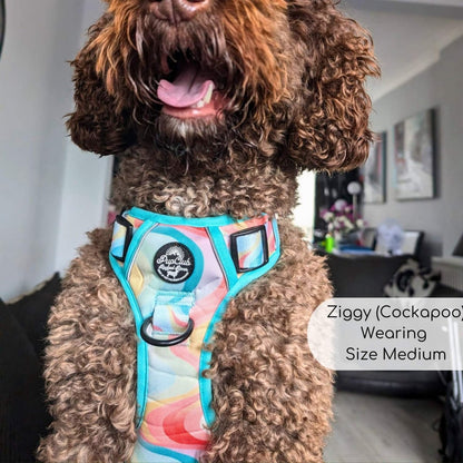 Cockapoo wearing Rugged Rover Harnesses Pastel Waves - Pupclub Couture