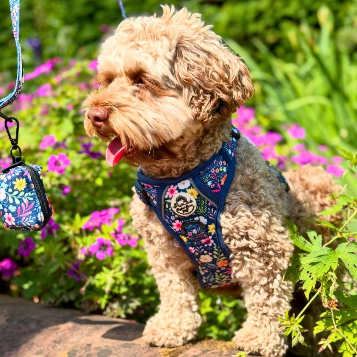 Rugged Rover™ No Pull Dog Harness | Summer Meadow | PupClub Couture