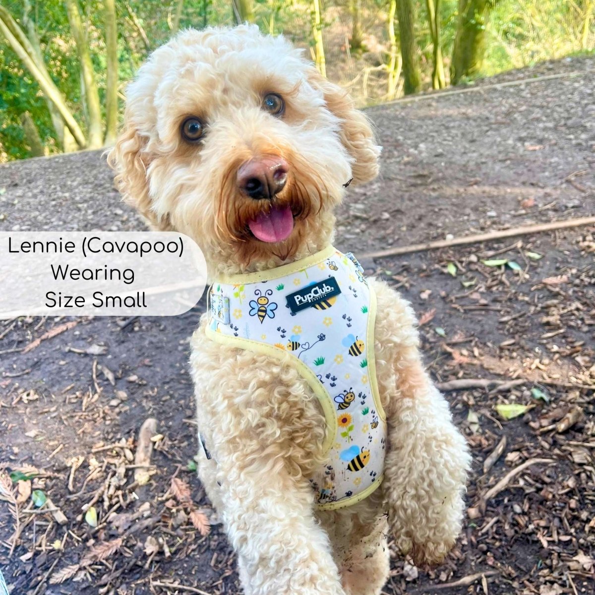 Adjustable Dog Harness - Beeutiful Summer - Pupclub Couture