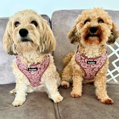 Adjustable Dog Harness - Luxe Mocha Petals - Pupclub Couture