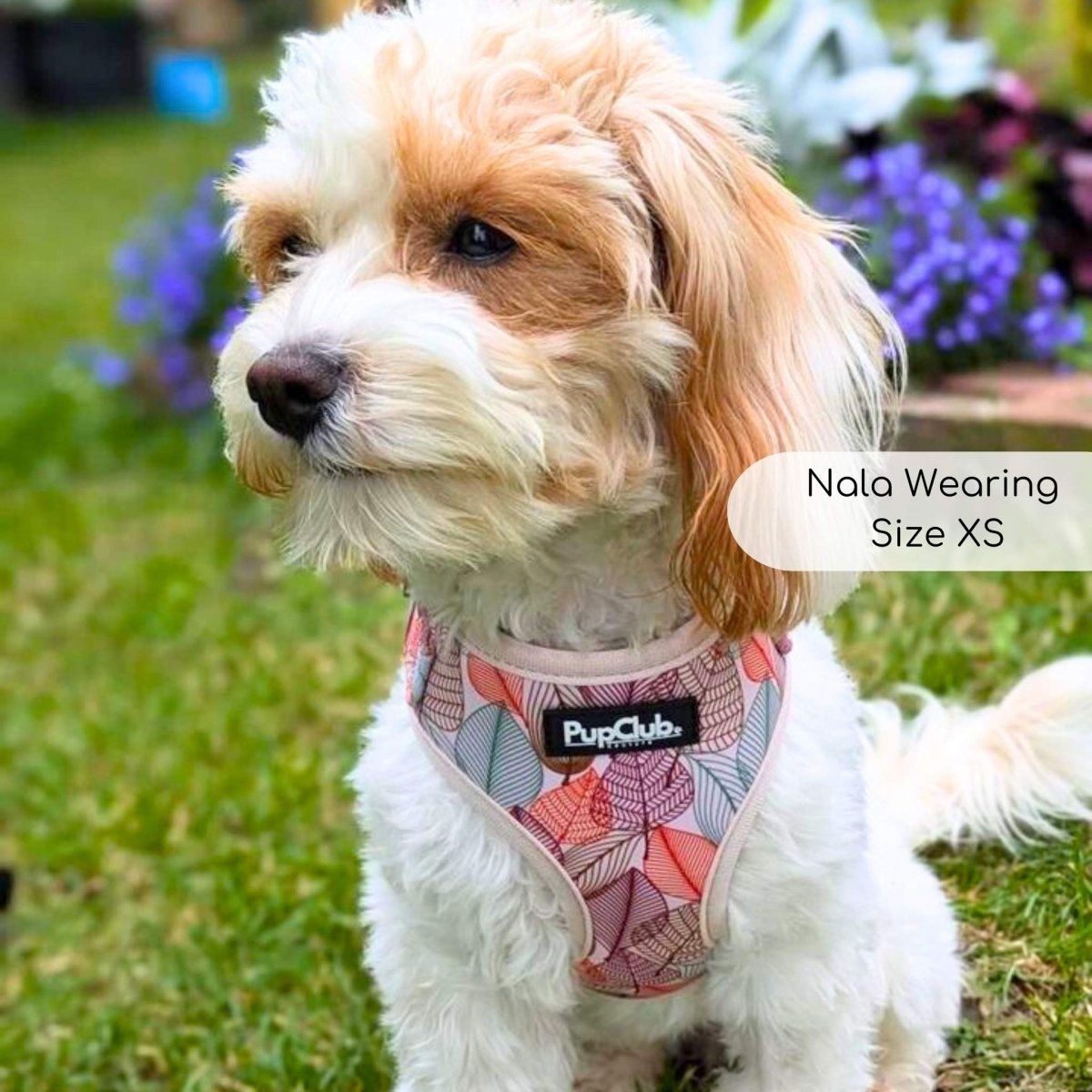 Adjustable dog harness - autumn breeze - pupclub couture