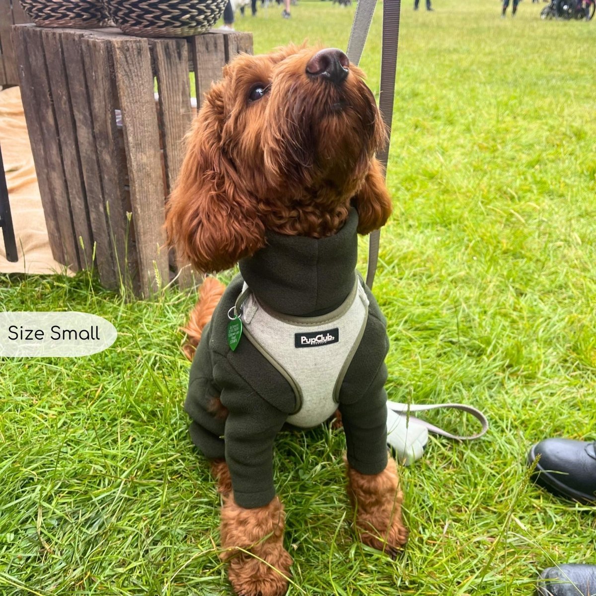 Cockapoo wearing adjustable dog harness tweed green - Pupclub Couture