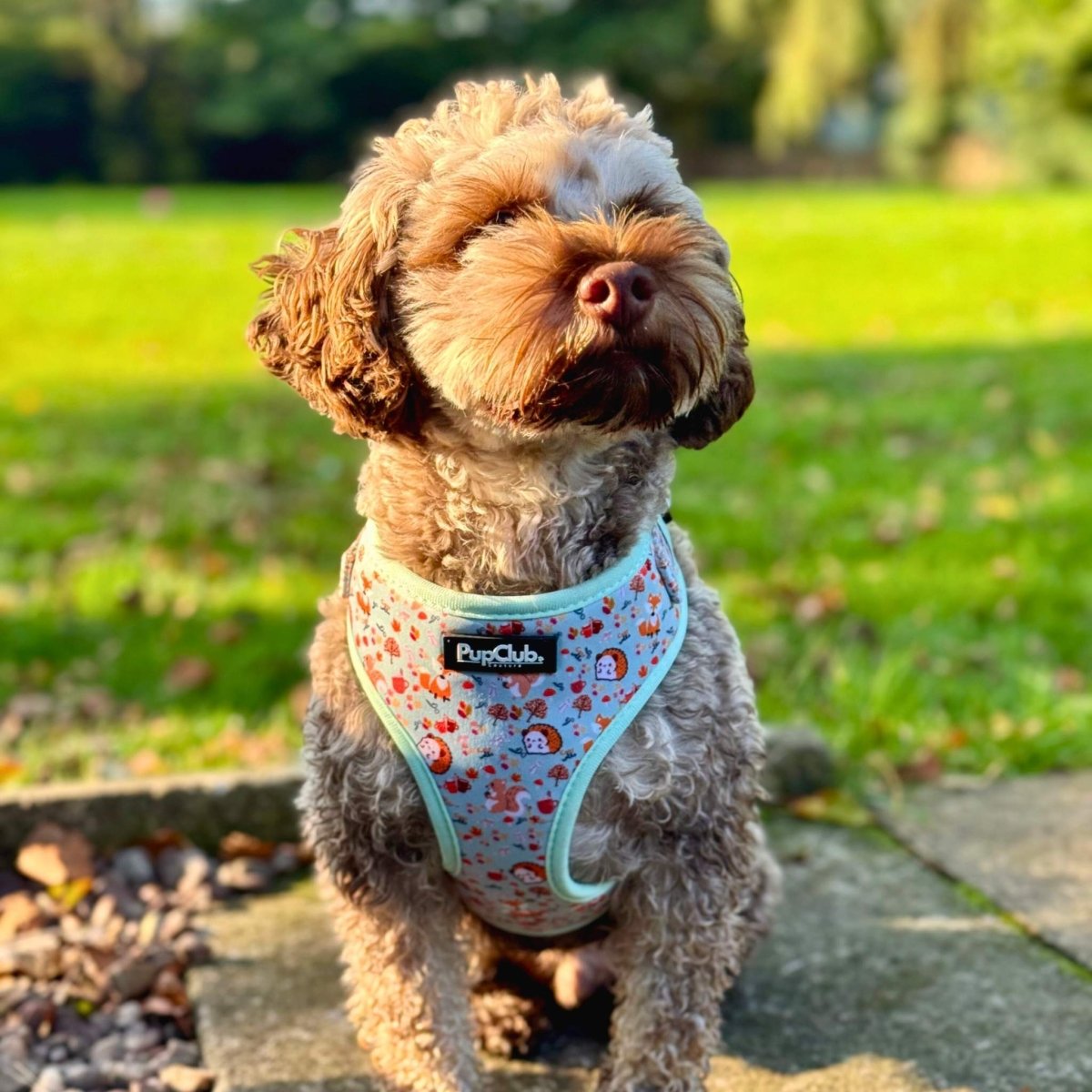 Woodland Friends dog harness with forest creatures design