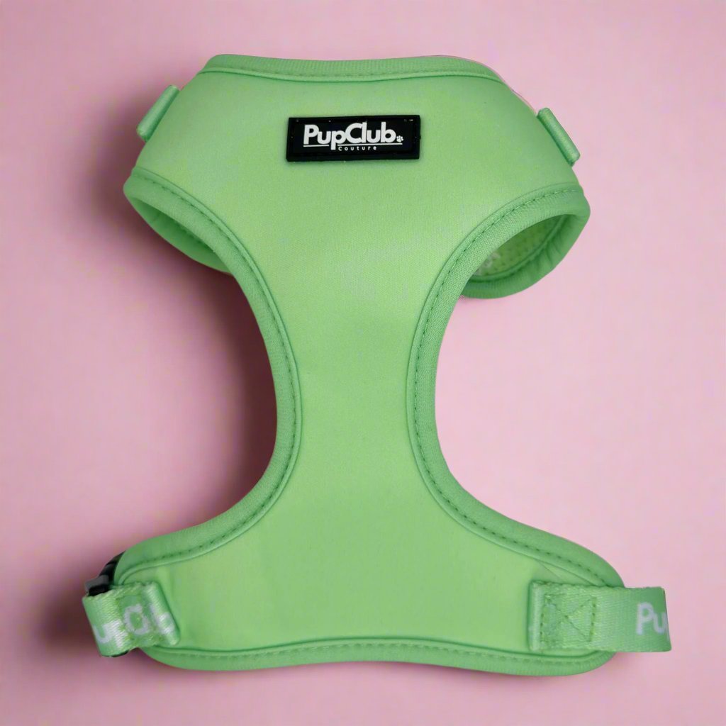 Adjustable dog harness - Pastel Green - Pupclub Couture