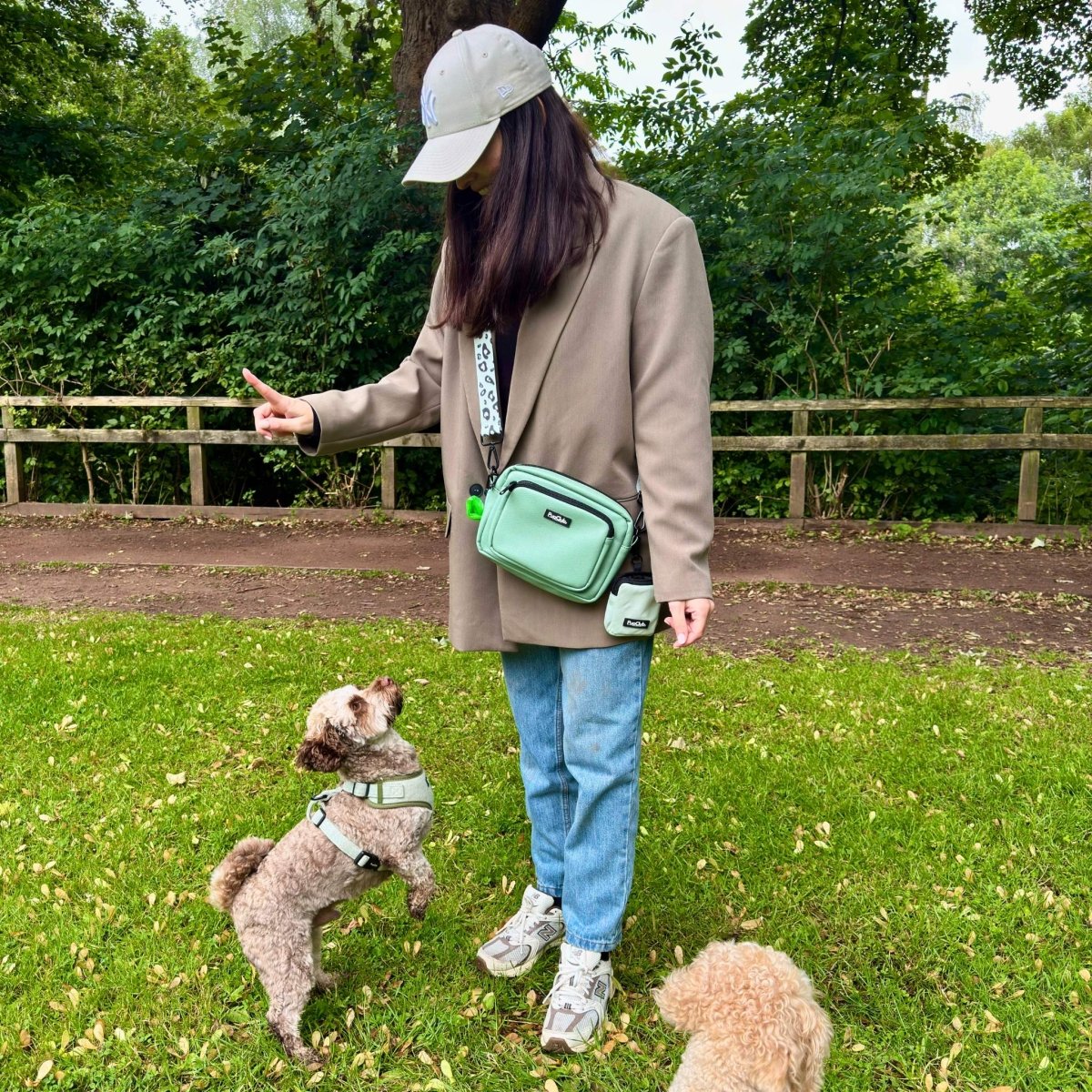 crossbody dog walking bag - Sage Green vegan leather - Pupclub Couture