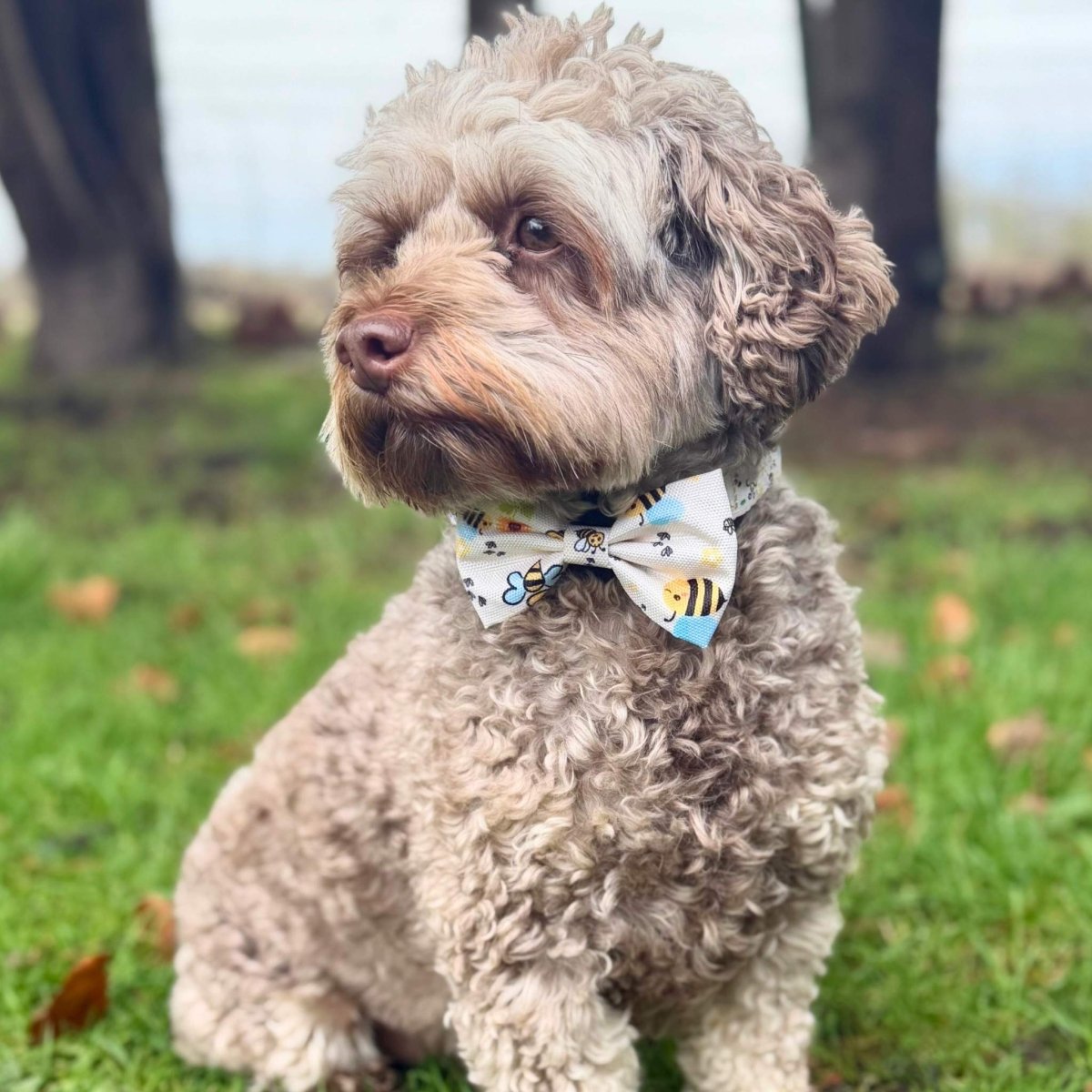 Dog Bows - Bee-Utiful Summer - Pupclub Couture