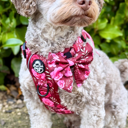 Dog Wearing Bow Tie - Burgundy Bloom - Pupclub Couture