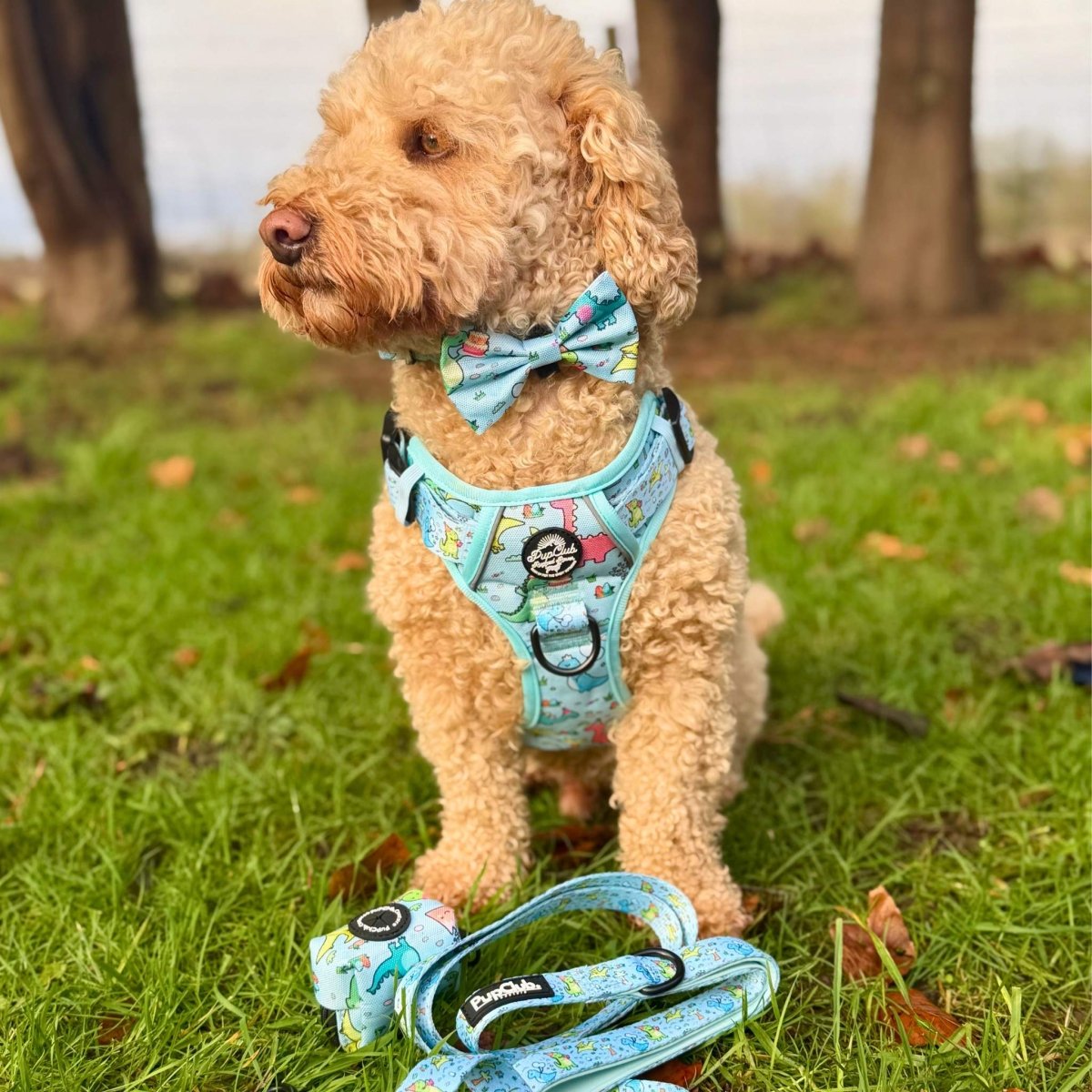 Dog Bows - Jurassic Party - Pupclub Couture