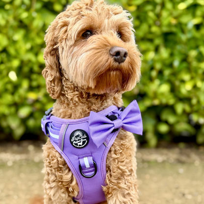 Dog wearing a purple harness with a bow tie - Lilac Blush - Pupclub Couture