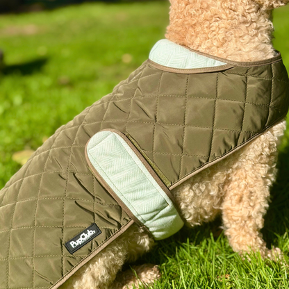 Dog wearing Quilted Dog Coat - Khaki Tweed - Pupclub Couture