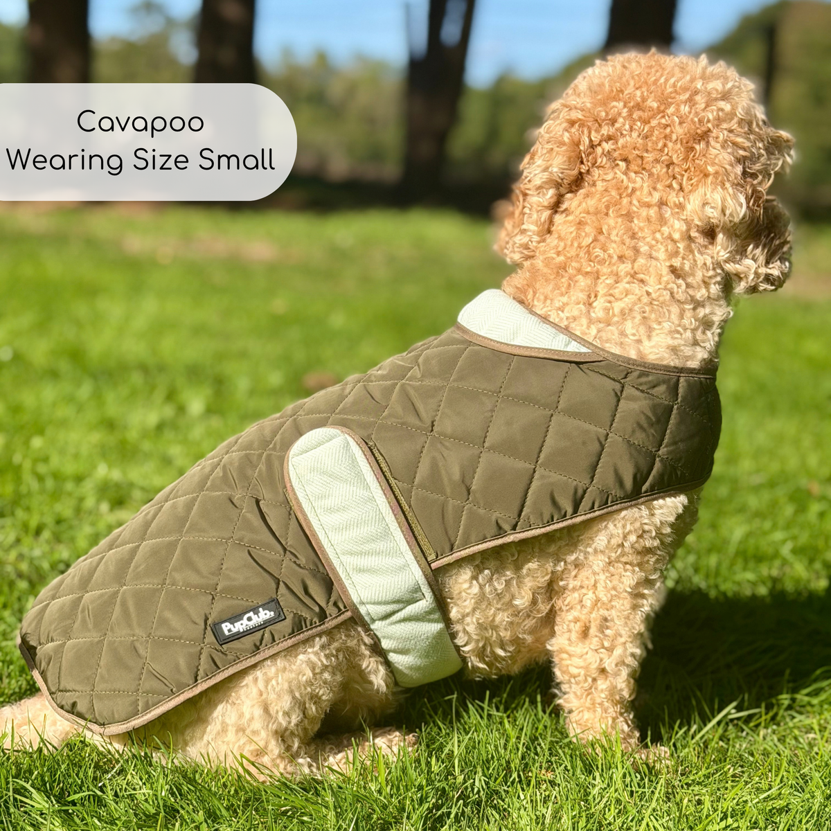 cockapoo dog wearing Quilted Dog Coat - Khaki Tweed - Pupclub Couture