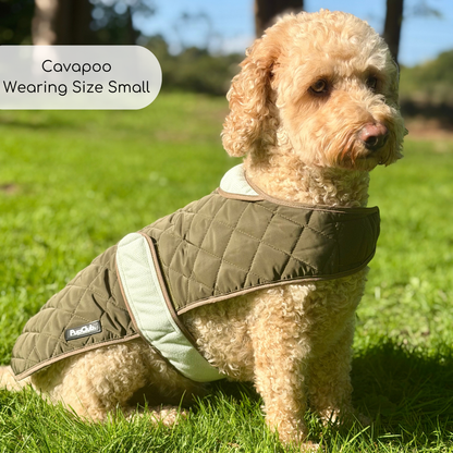 Cavapoo dog wearing Quilted Dog Coat - Khaki Tweed - Pupclub Couture