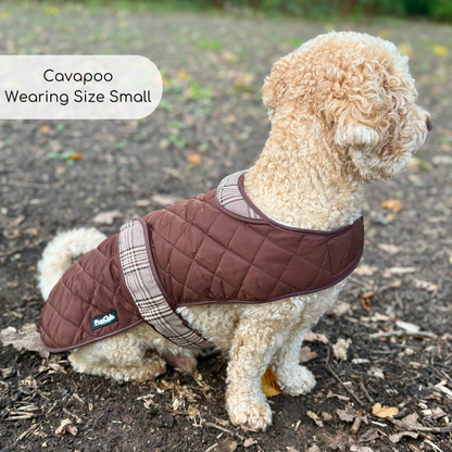 Cockapoo Dog Wearing Quilted Dog Coat - Foxbury Plaid - Pupclub Couture