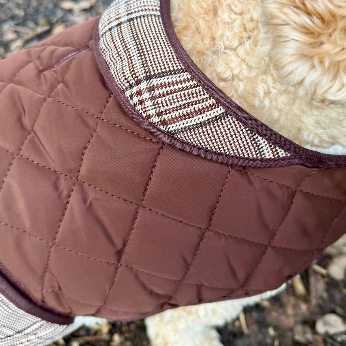 Quilted Dog Coat - Foxbury Plaid - Pupclub Couture