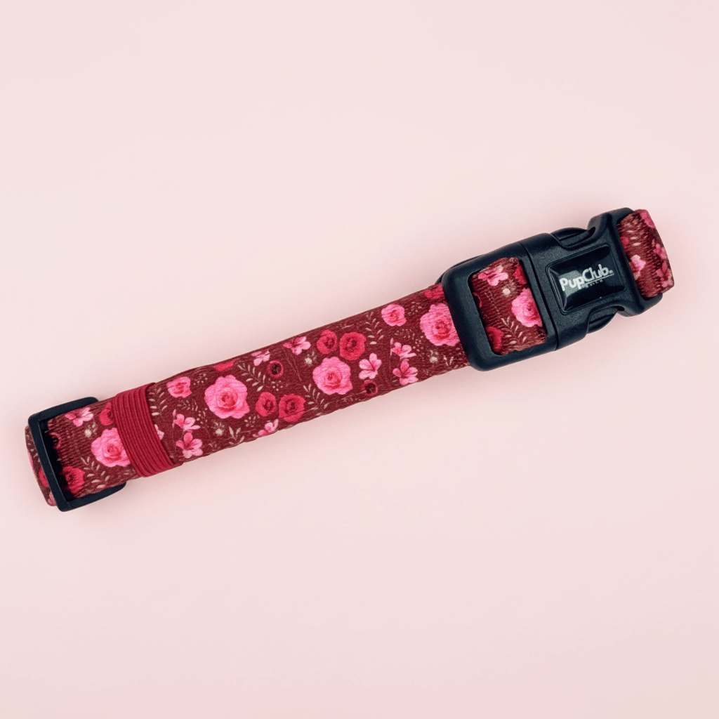 Dog Collar - Burgundy Bloom - Pupclub Couture