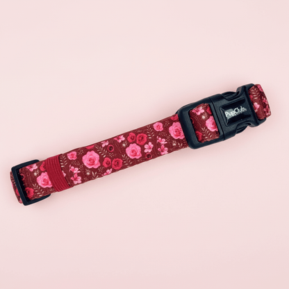 Dog Collar - Burgundy Bloom - Pupclub Couture