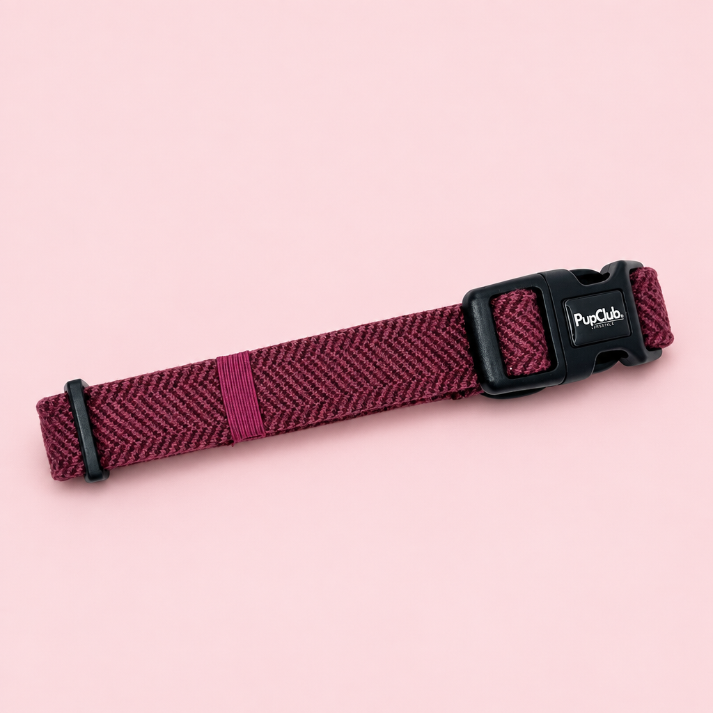 Dog Collar - Red Berry Tweed - PupClub Couture
