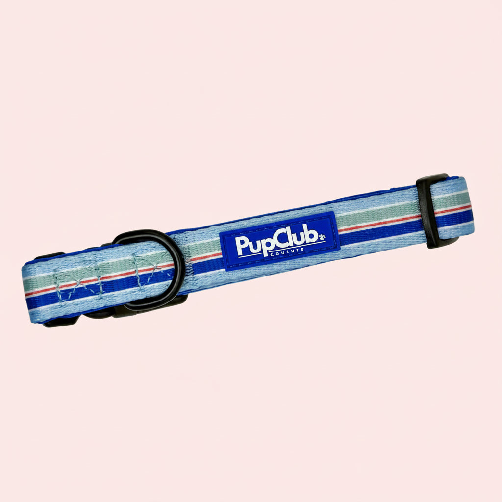 Dog Collar - Sea Breeze Stripes - PupClub Couture