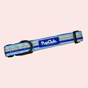 Dog Collar - Sea Breeze Stripes - PupClub Couture