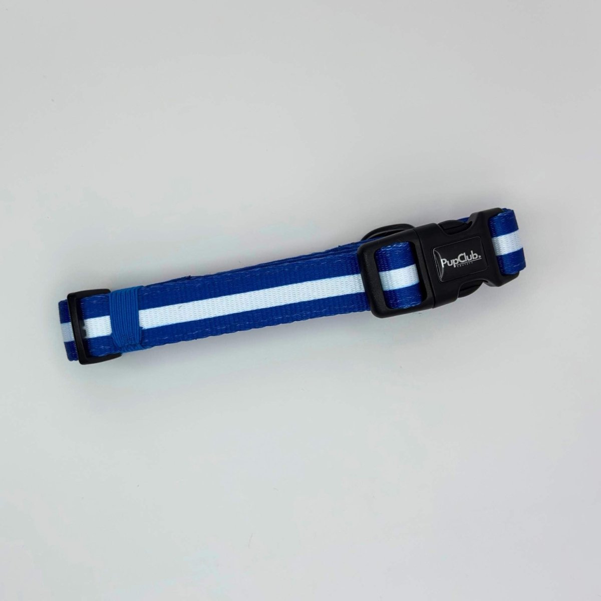 Dog Collar - Royal Blue - Pupclub Couture