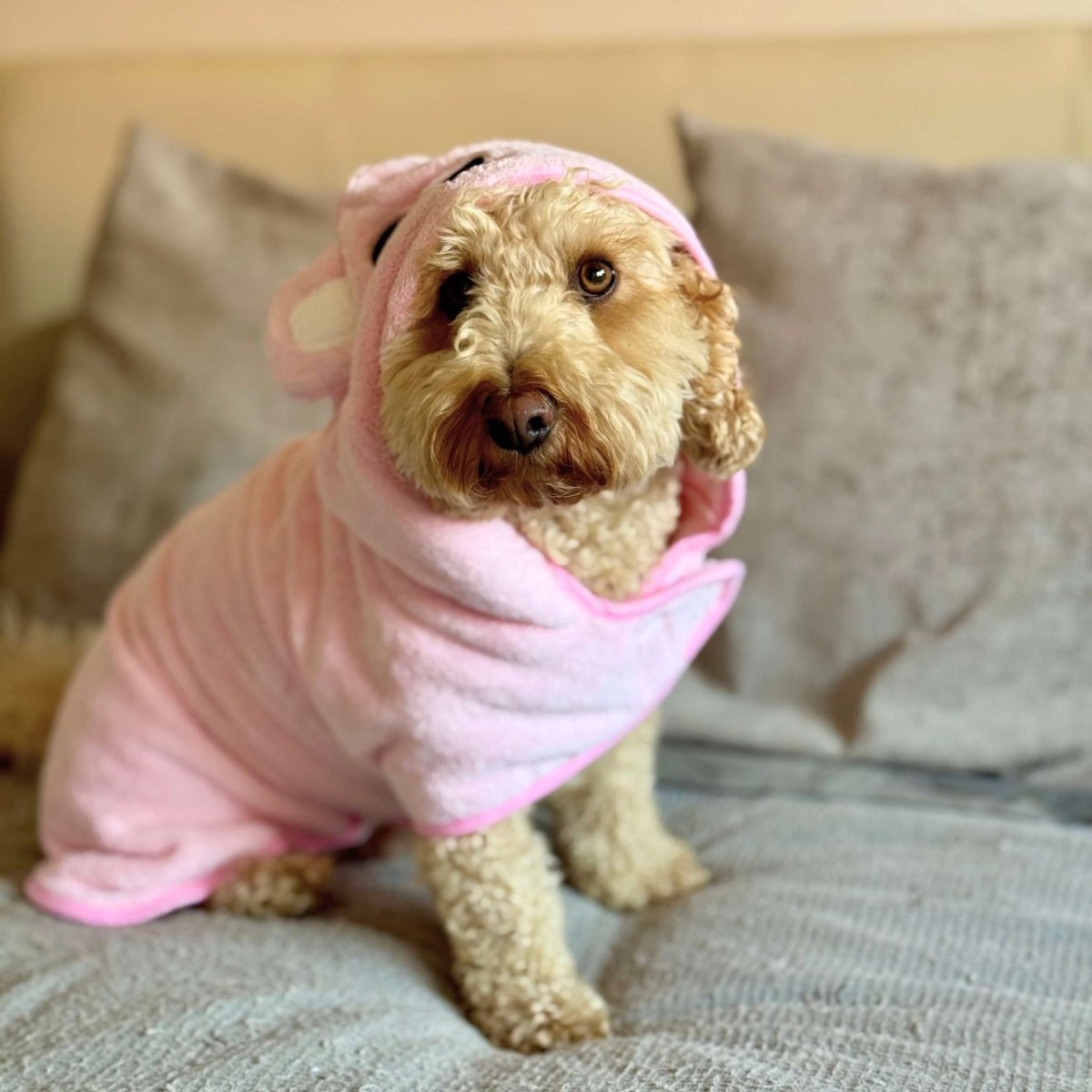Dog Drying Robe - Pink - Pupclub Couture