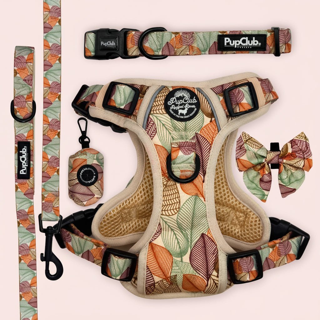 Rugged Rover Dog Harness Bundle - Autumn Breeze - Pupclub Couture