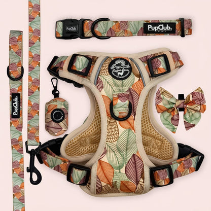 Rugged Rover Dog Harness Bundle - Autumn Breeze - Pupclub Couture