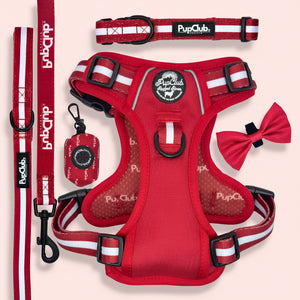 Rugged Rover Dog Harness Bundle - Berry Red - Pupclub Couture