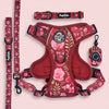 Dog Harness Bundle - Burgundy Bloom - Pupclub Couture