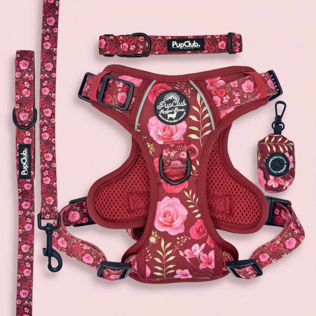 Dog Harness Bundle - Burgundy Bloom - Pupclub Couture
