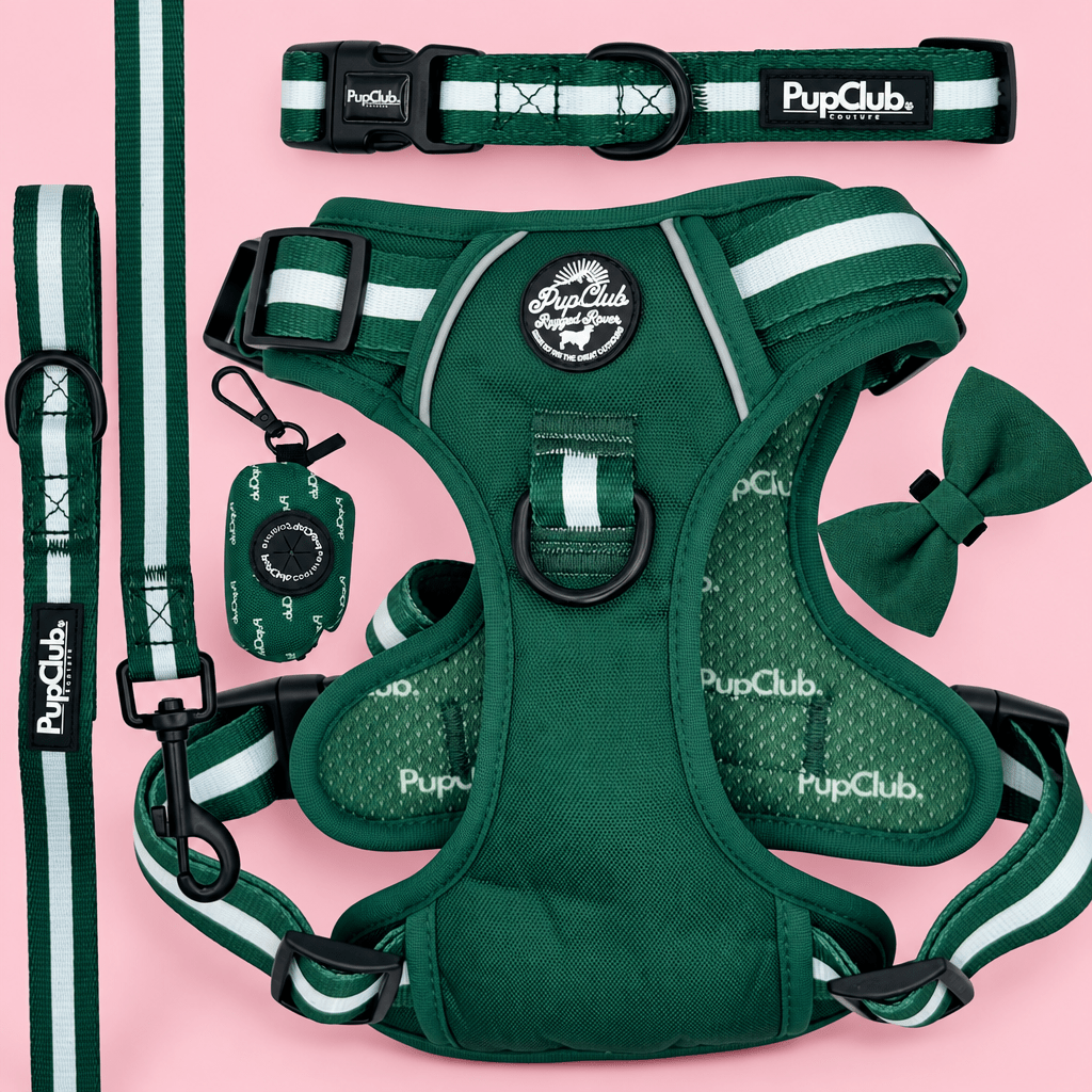 Dog Harness Bundle - Forest Green - Pupclub Couture
