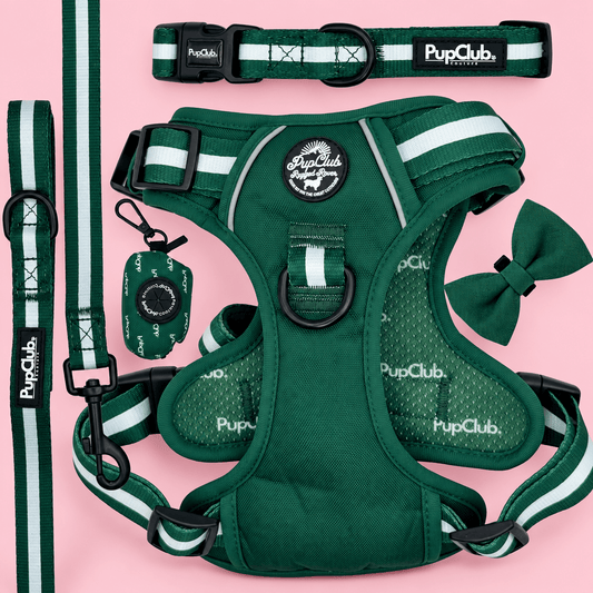 Dog Harness Bundle - Forest Green - Pupclub Couture