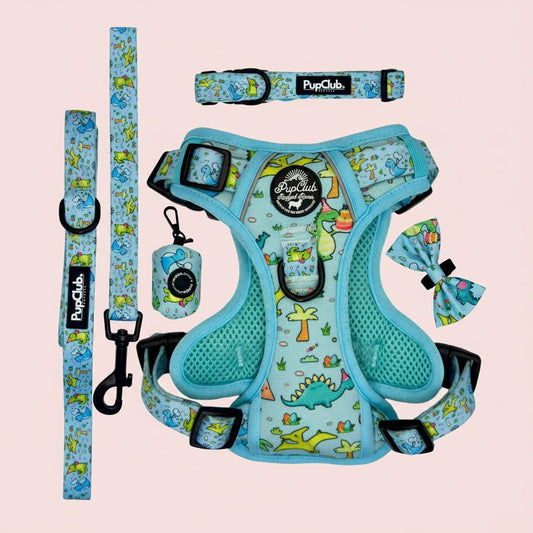 Rugged Rover Dog Harness Bundle - Jurassic Party - Pupclub Couture