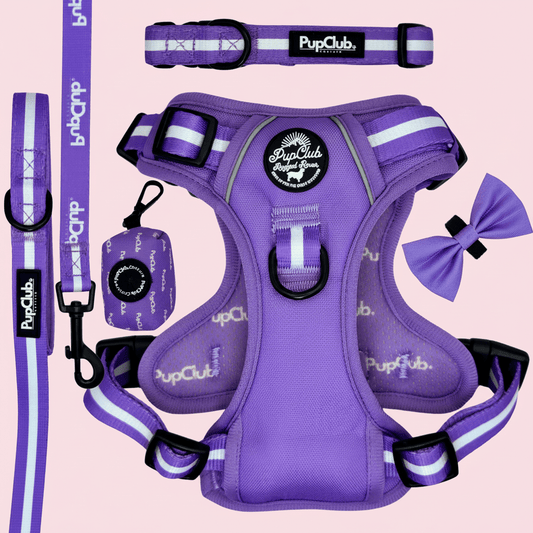 Rugged Rover Dog Harness Bundle - Lilac Blush - Pupclub Couture