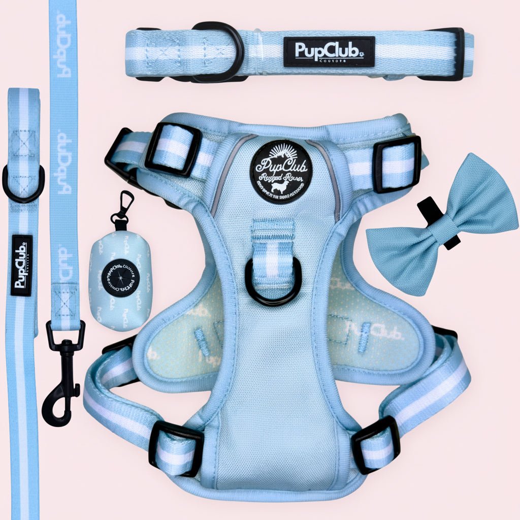 Rugged Rover Dog Harness Bundle - Pastel Blue - Pupclub Couture