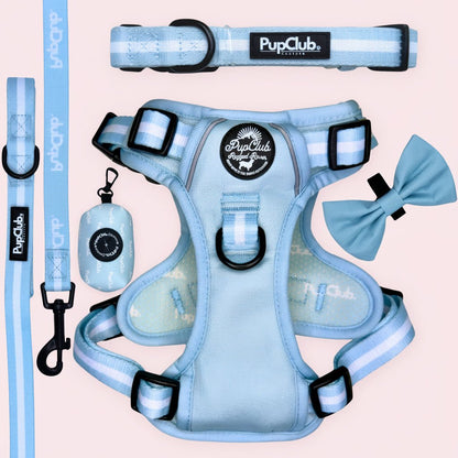 Rugged Rover Dog Harness Bundle - Pastel Blue - Pupclub Couture
