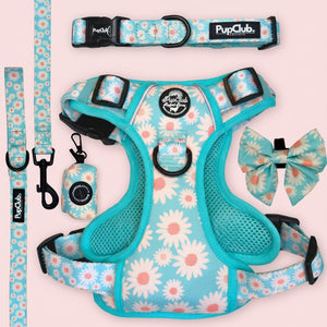 Rugged Rover Dog Harness Bundle - Pastel Daisy - Pupclub Couture
