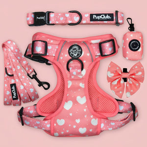 Rugged Rover Dog Harness Bundle - Peachy Hearts - Pupclub Couture