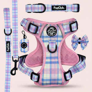 Rugged Rover Dog Harness Bundle - Pink Tartan - Pupclub Couture