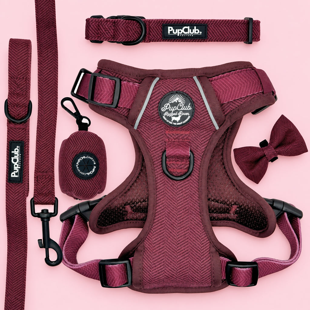 Dog Harness Bundle - Sea Breeze Stripes - Pupclub Couture
