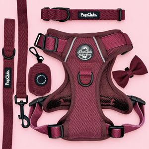 Dog Harness Bundle - Sea Breeze Stripes - Pupclub Couture