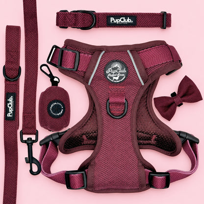 Dog Harness Bundle - Sea Breeze Stripes - Pupclub Couture