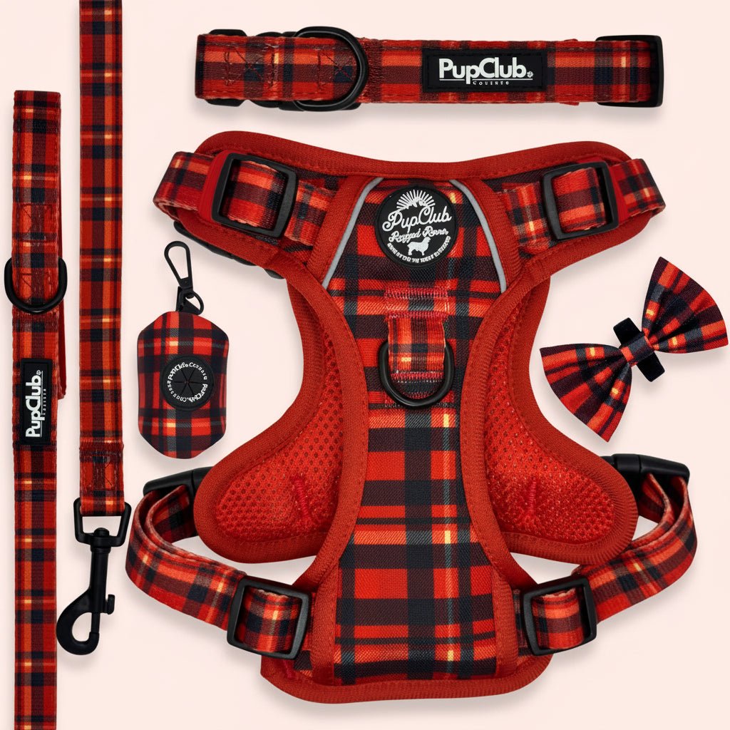 Rugged Rover Dog Harness Bundle - Red Tartan - Pupclub Couture