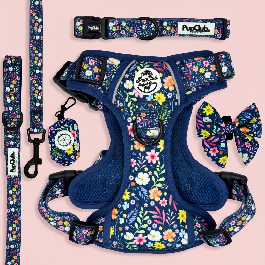 Rugged Rover Dog Harness Bundle - Summer Meadow - PupClub Couture