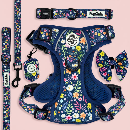 Rugged Rover Dog Harness Bundle - Summer Meadow - PupClub Couture