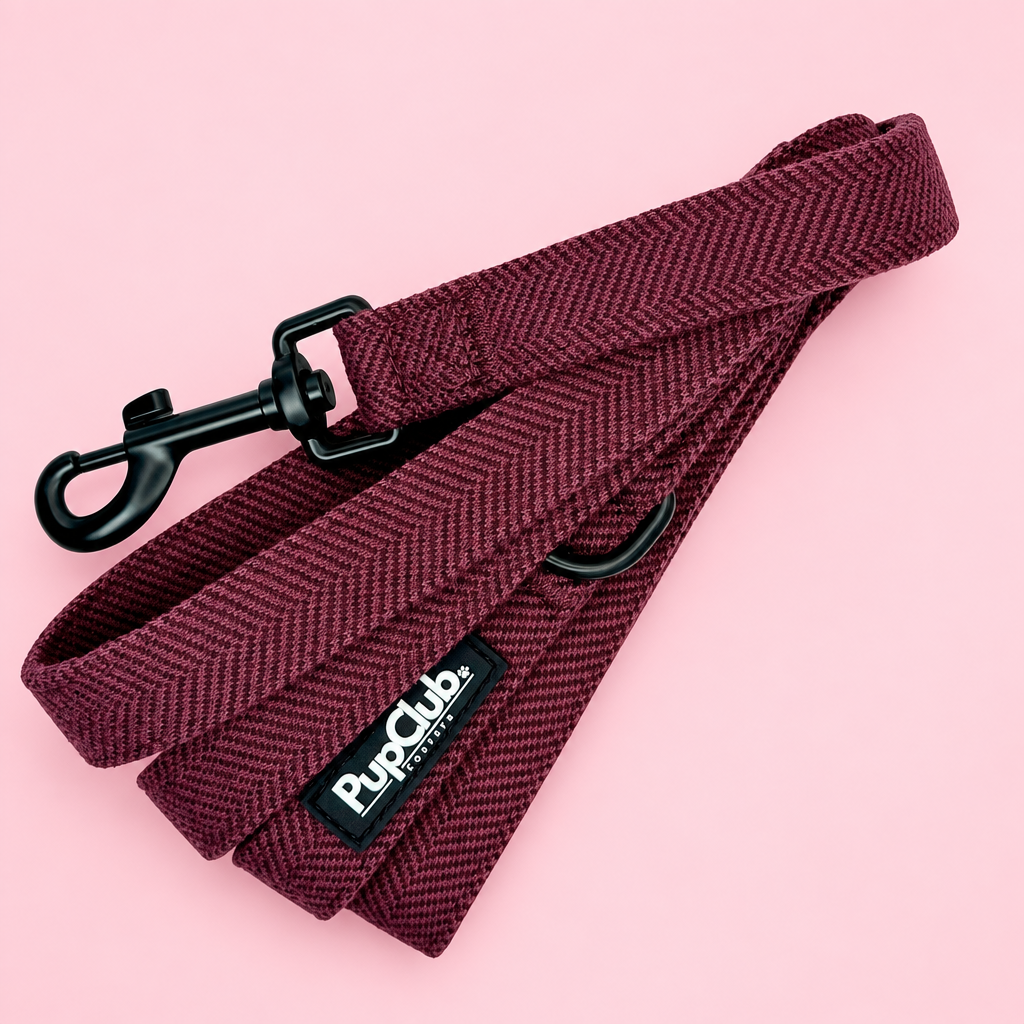 Dog Lead - Red Berry Tweed - Pupclub Couture
