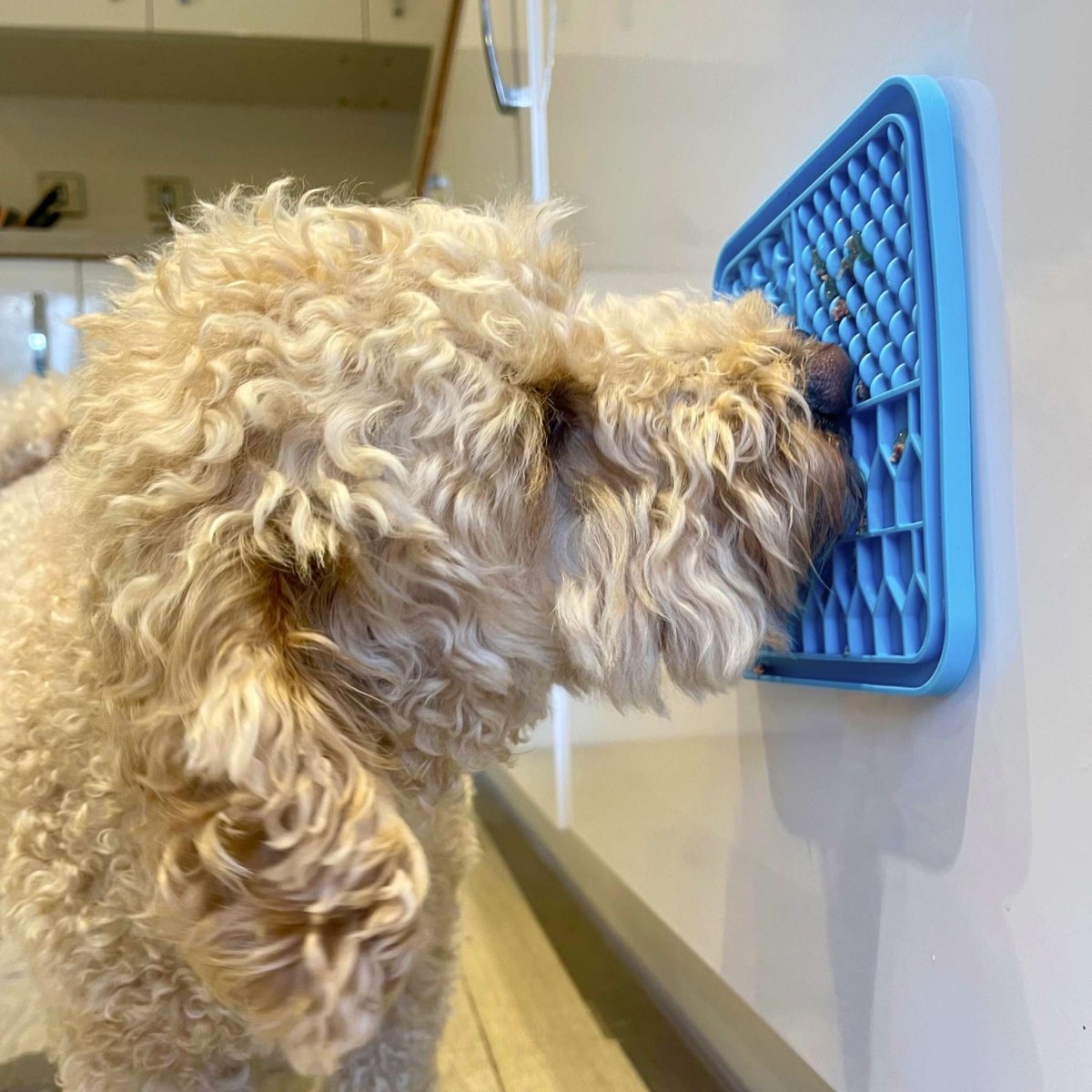 Lilac slow feeder dog lick mat with yogurt - mental enrichment for dogs