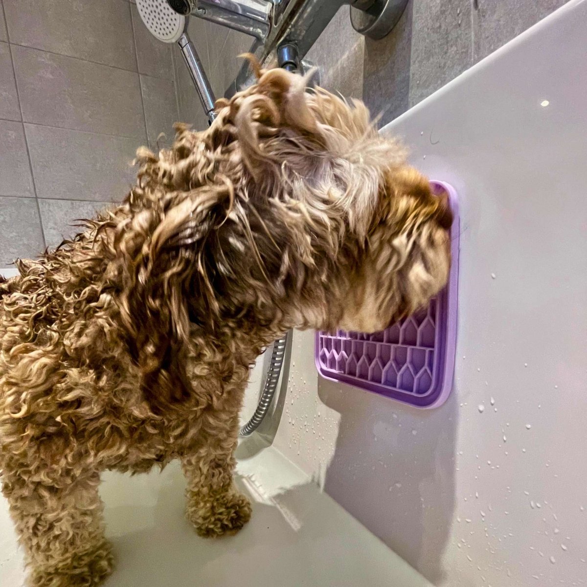 Pink dog lick mat for bath time - calming lick mat for dogs