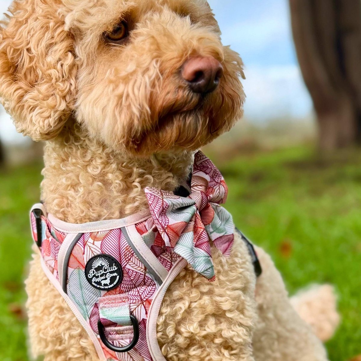 Dog Bow - Autumn Breeze - Pupclub Couture