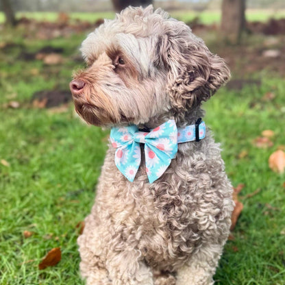 Dog Bows - Pastel Daisy - Pupclub Couture